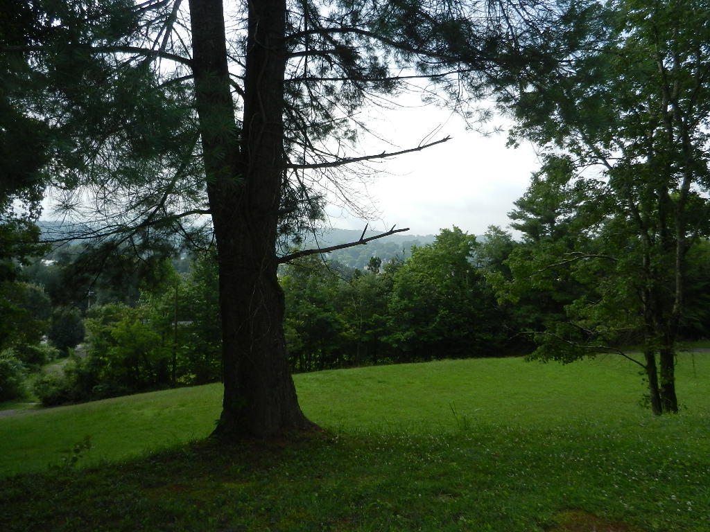115 Ridgewood Road Harriman, TN 37748 - Photo 6 of 18 07 view