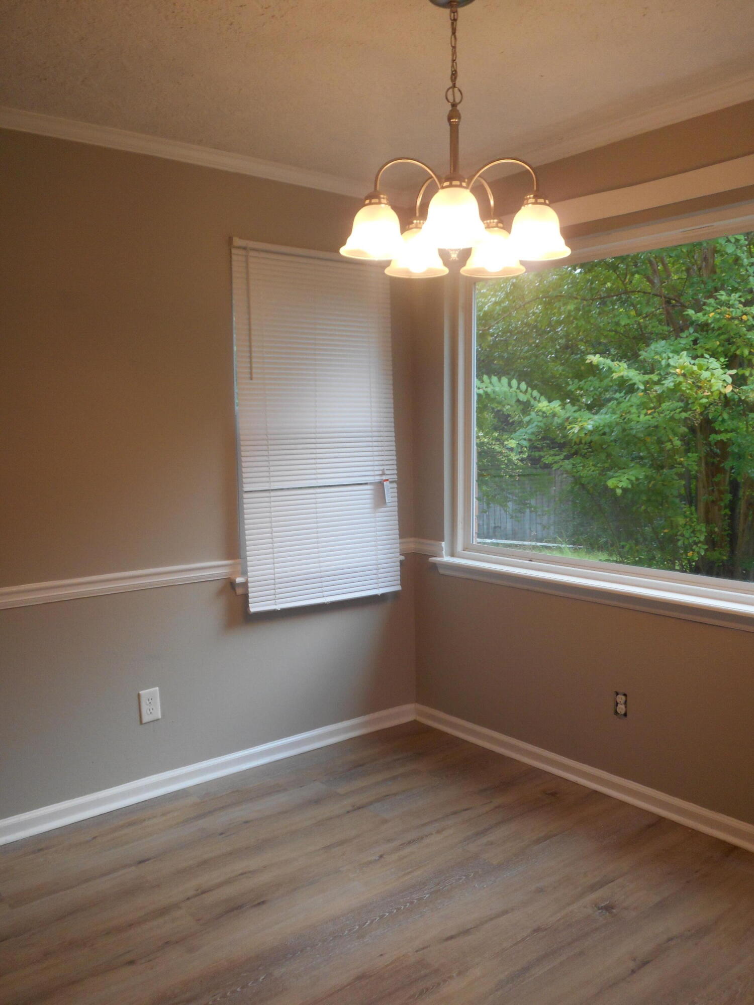 3010 Miranda Road Augusta, GA 30906 - Photo 5 of 15 Picture window overlooking backyard