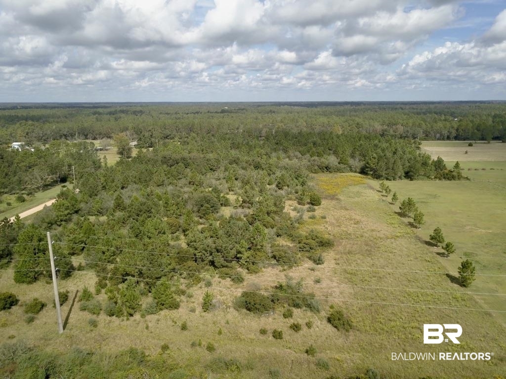 0 Fell Road Elberta, AL 36530 - Photo 7 of 13