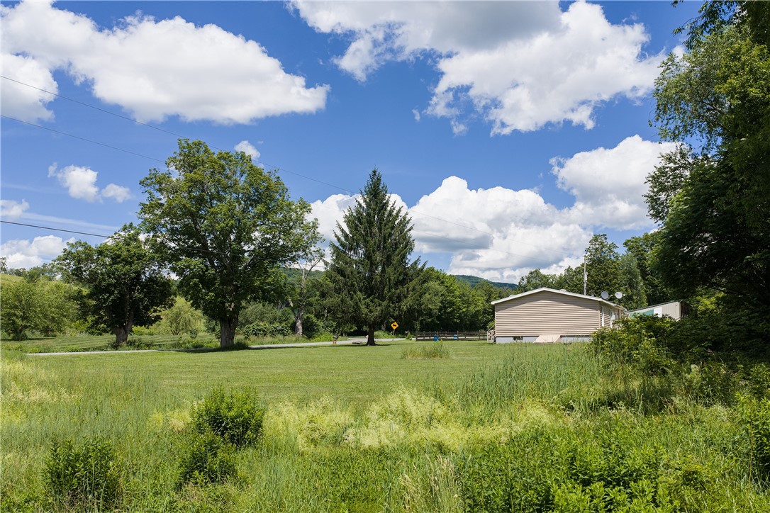 1780 Roses Brook Road Stamford, NY 13788 - Photo 33 of 47