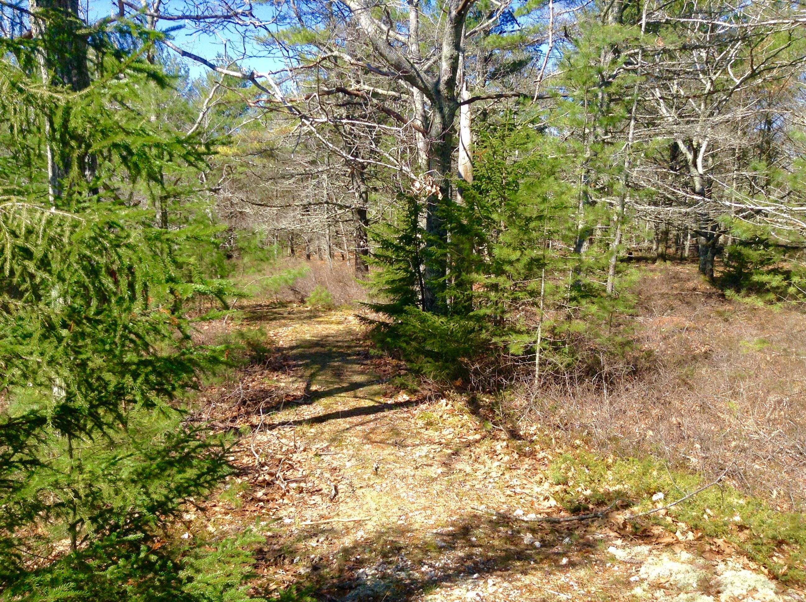 5 Narrows Way Georgetown, ME 04548 - Photo 12 of 29 Long Road to the high ground