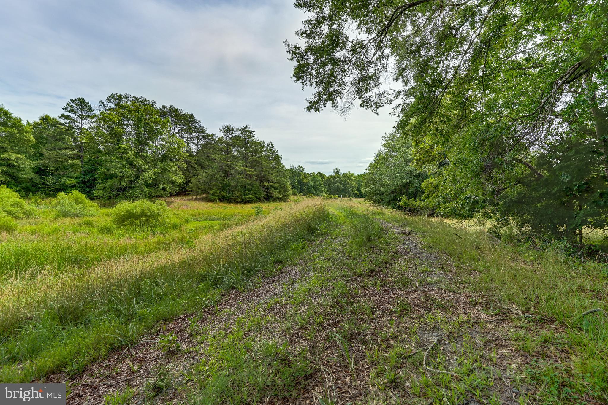 8858 Poindexter Road Louisa, VA 23093 - Photo 37 of 48