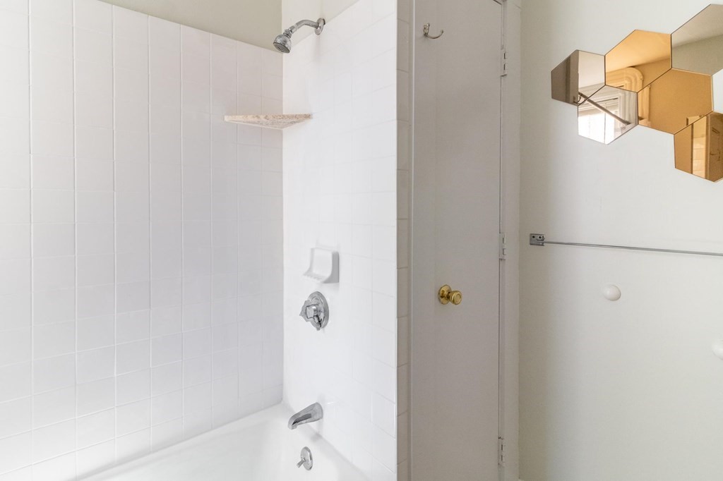 789 Columbia Road, Unit 2 Boston, MA 02125 - Photo 16 of 19 a bathroom with a shower