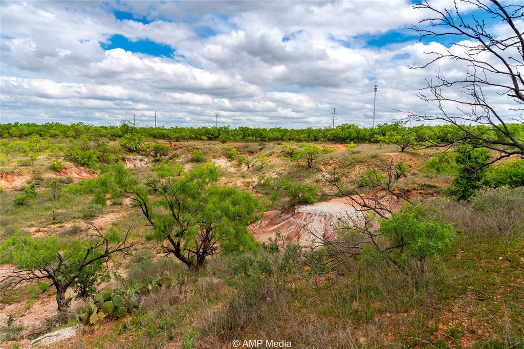 195 Anson Tx 79501 Anson, TX 79501 - Photo 2 of 13 a view of lake