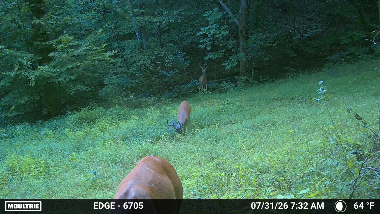 1200 Dawson Road White Bluff, TN 37187 - Photo 90 of 91 Gallery Image 90