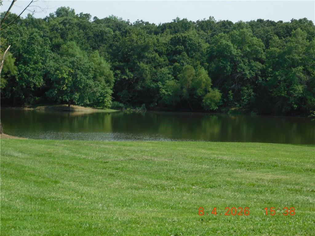 19715 Hoover Road Pleasant Hill, MO 64080 - Photo 30 of 59 Gallery Image 30