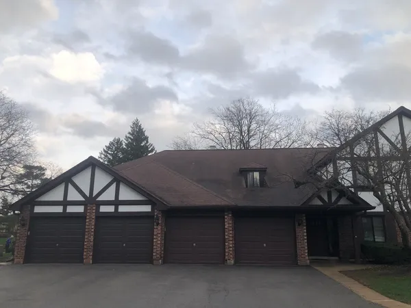 a backyard of a house with large trees and garage