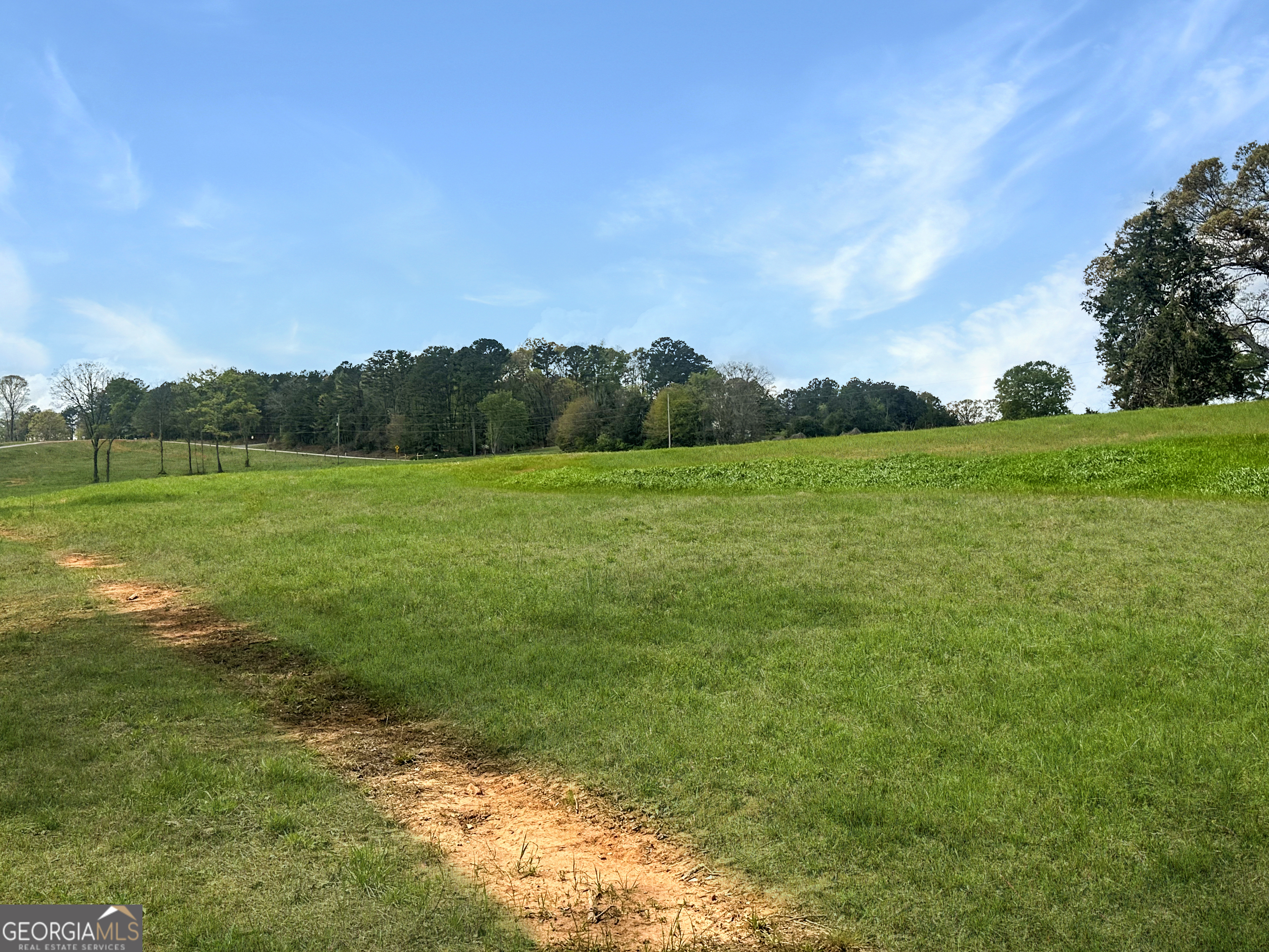 965 Goose Neck Road Eastanollee, GA 30538 - Photo 7 of 18