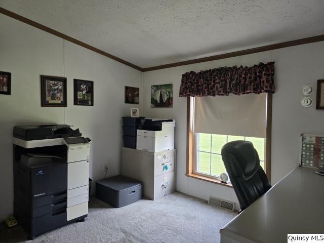 1930 East Co Road 900 Carthage, IL 62321 - Photo 19 of 29