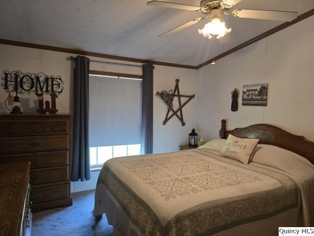 1930 East Co Road 900 Carthage, IL 62321 - Photo 20 of 29