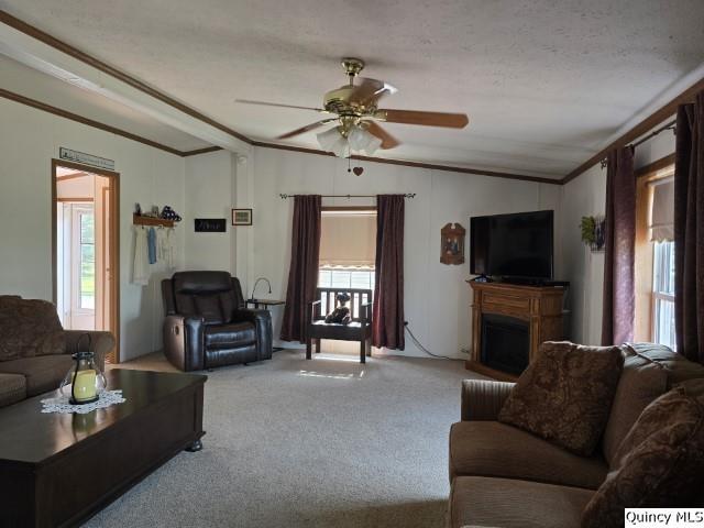 1930 East Co Road 900 Carthage, IL 62321 - Photo 3 of 29