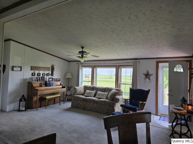 1930 East Co Road 900 Carthage, IL 62321 - Photo 10 of 29