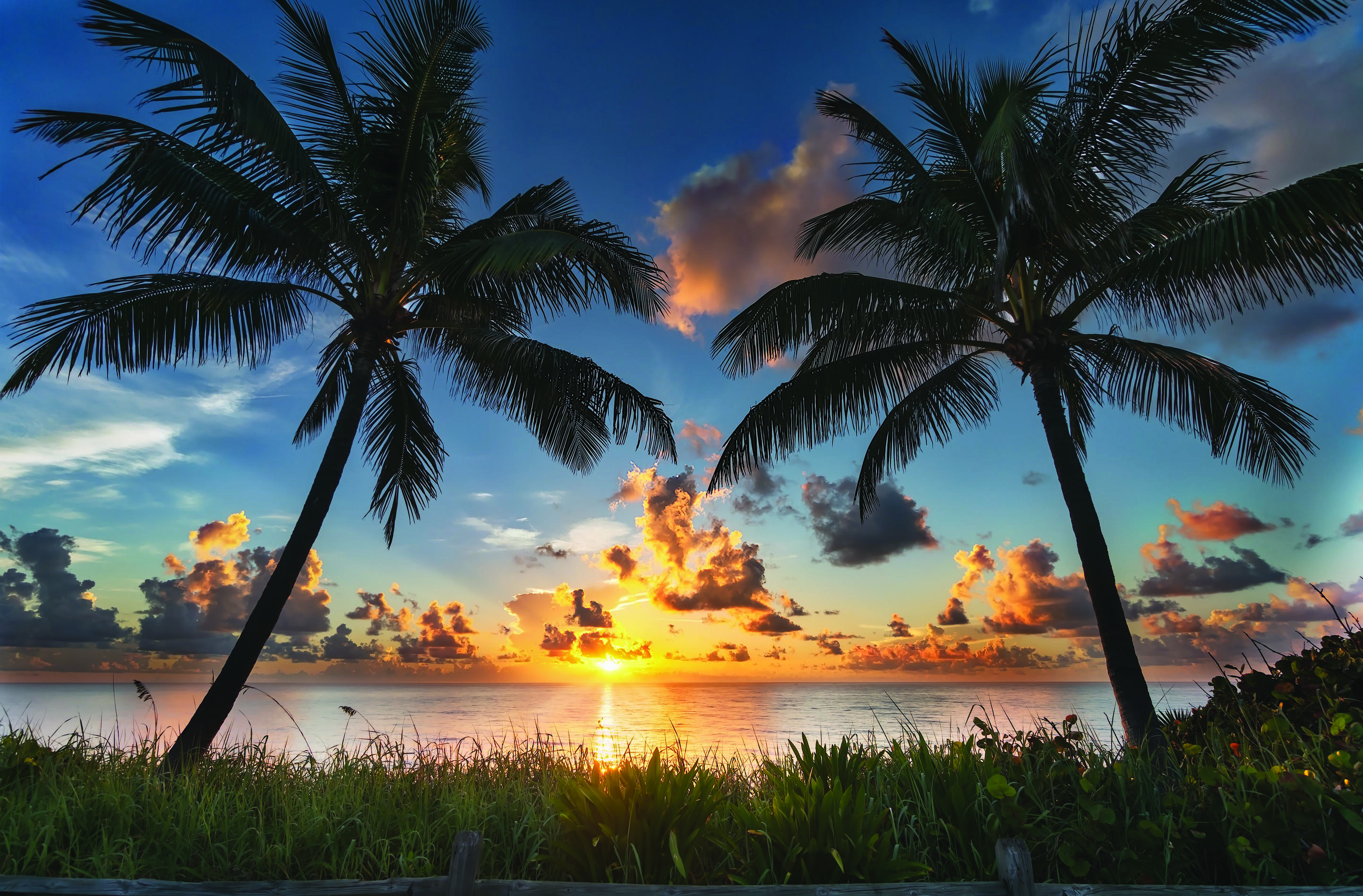 1607 Seabrook Road Jupiter, FL 33469 - Photo 61 of 62 Sunset Jupiter Beach w Palm Trees copy