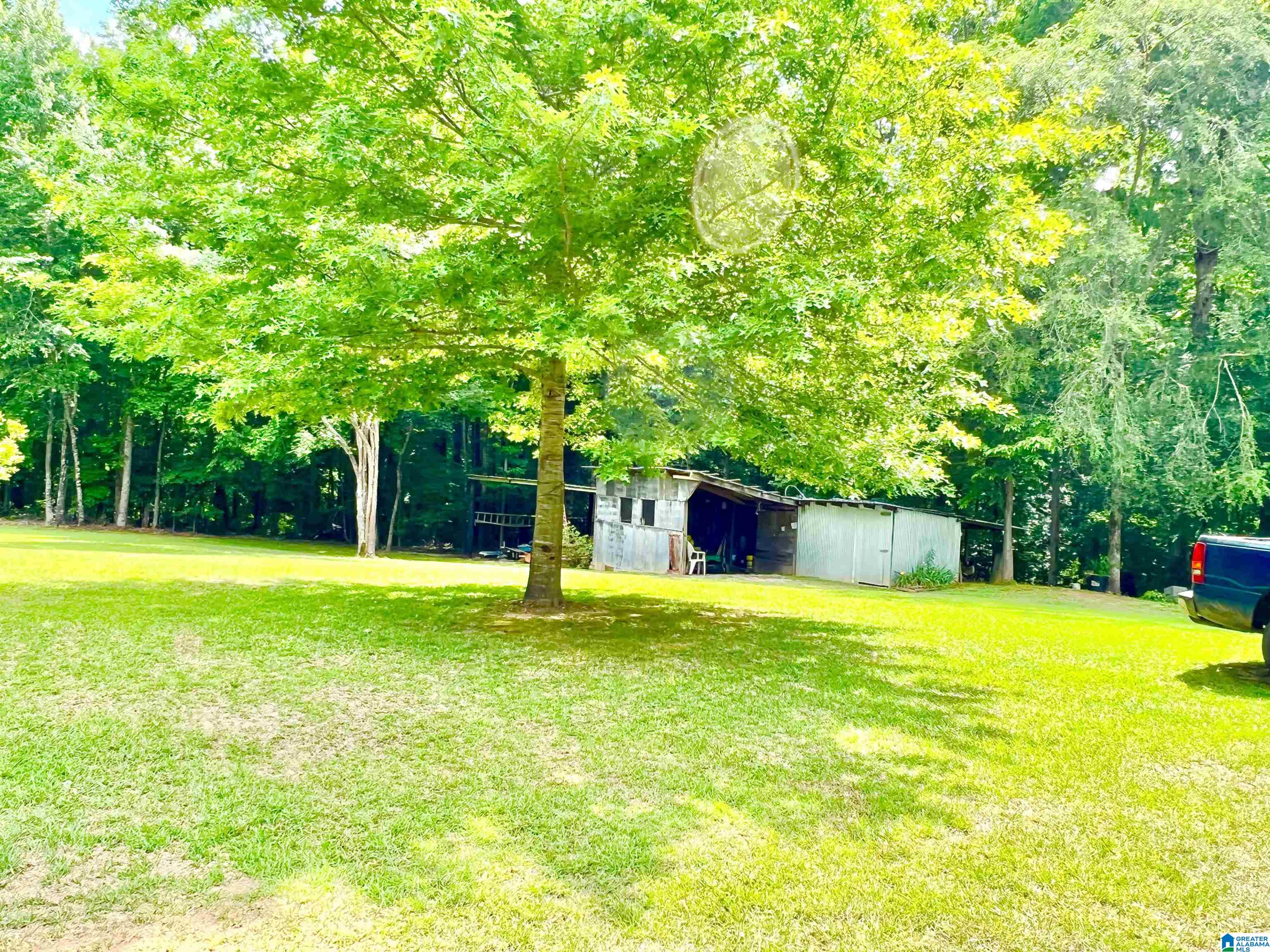 1797-ea Mill Dr Co Road Goodwater, AL 35072 - Photo 25 of 39