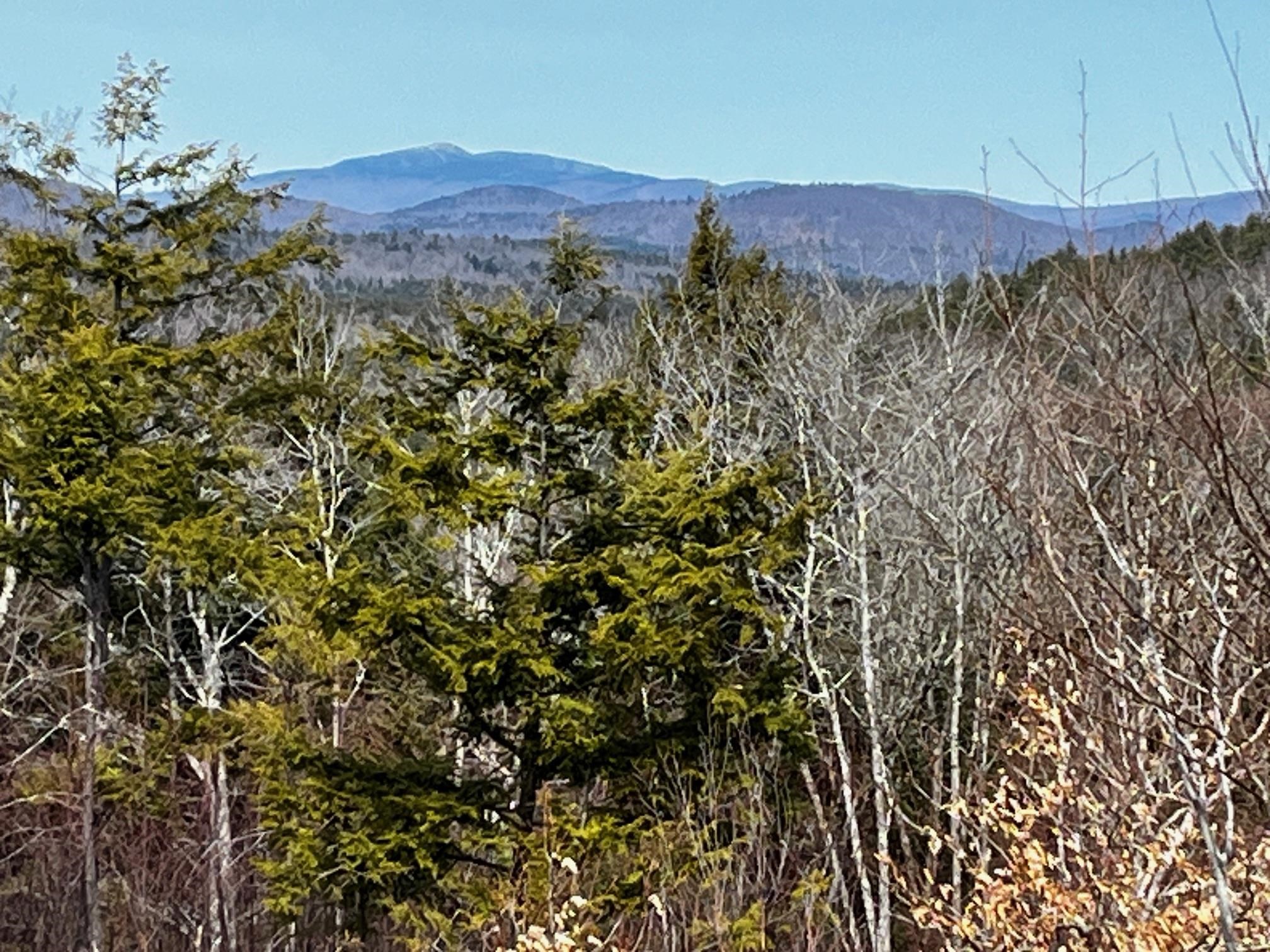 63 Old Winslow Road Wilmot, NH 03287 - Photo 11 of 19