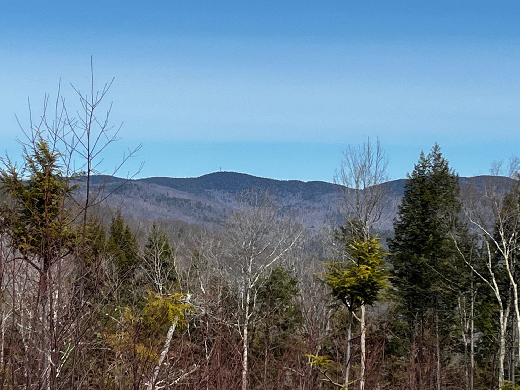 63 Old Winslow Road Wilmot, NH 03287 - Photo 10 of 19