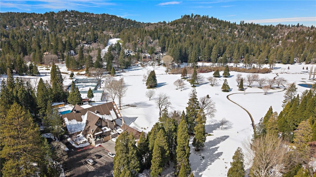180 Grass Valley Road, Unit 20 Lake Arrowhead, CA 92352 - Photo 45 of 67
