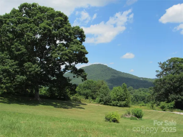 a view of a grassy area with an trees