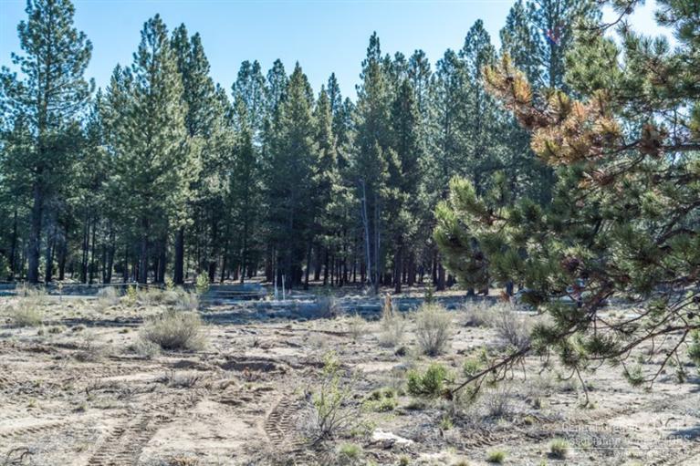 153 Sunstone Loop Bend, OR 97707 - Photo 17 of 21 Additional Photo