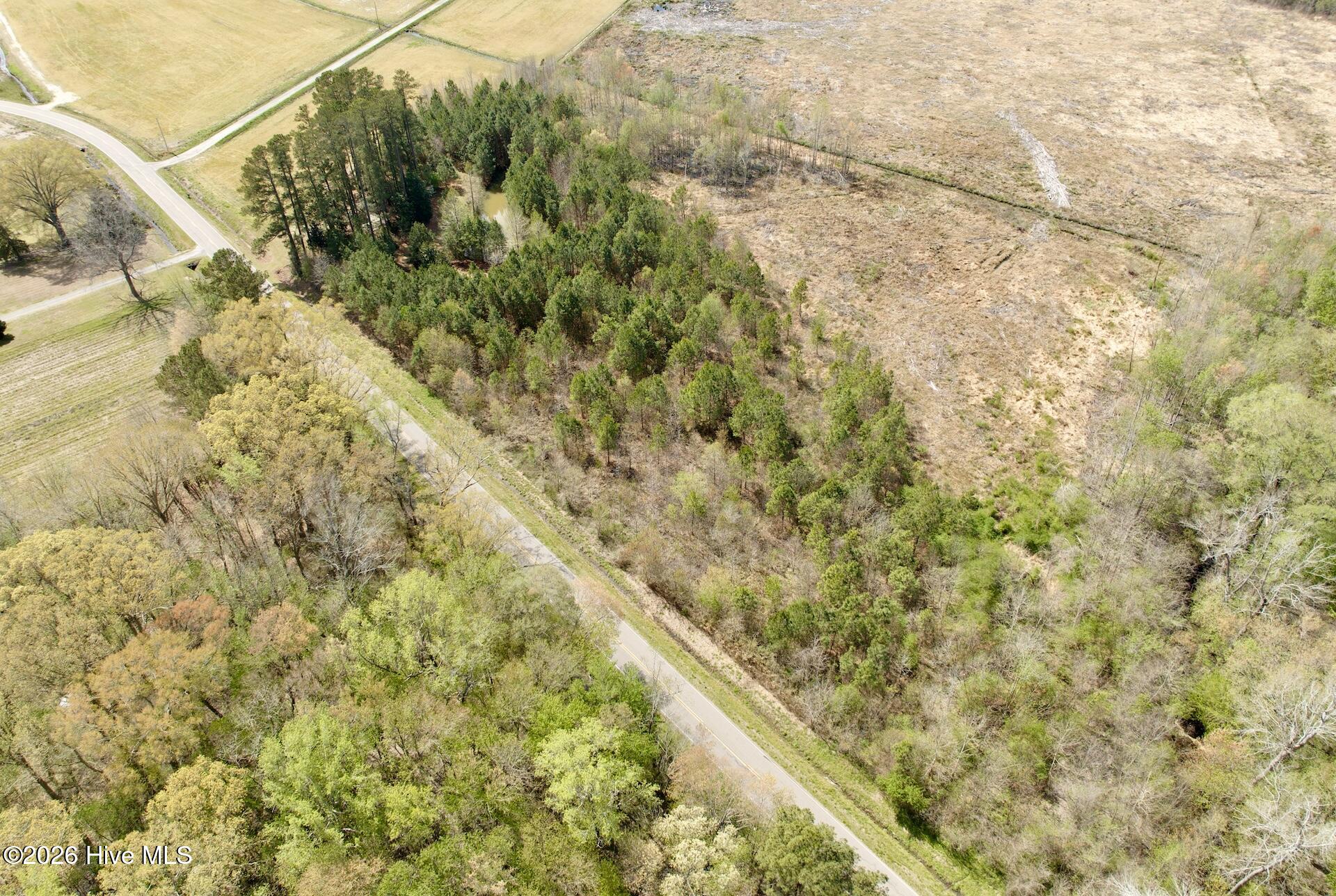 0 Black Mingle Road Gates, NC 27937 - Photo 11 of 25 13