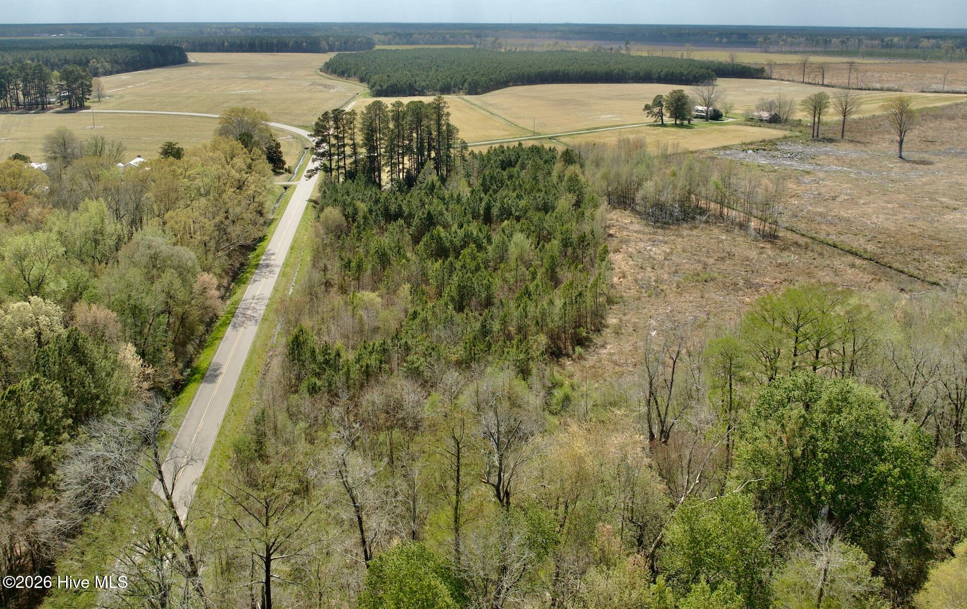 0 Black Mingle Road Gates, NC 27937 - Photo 12 of 25 14