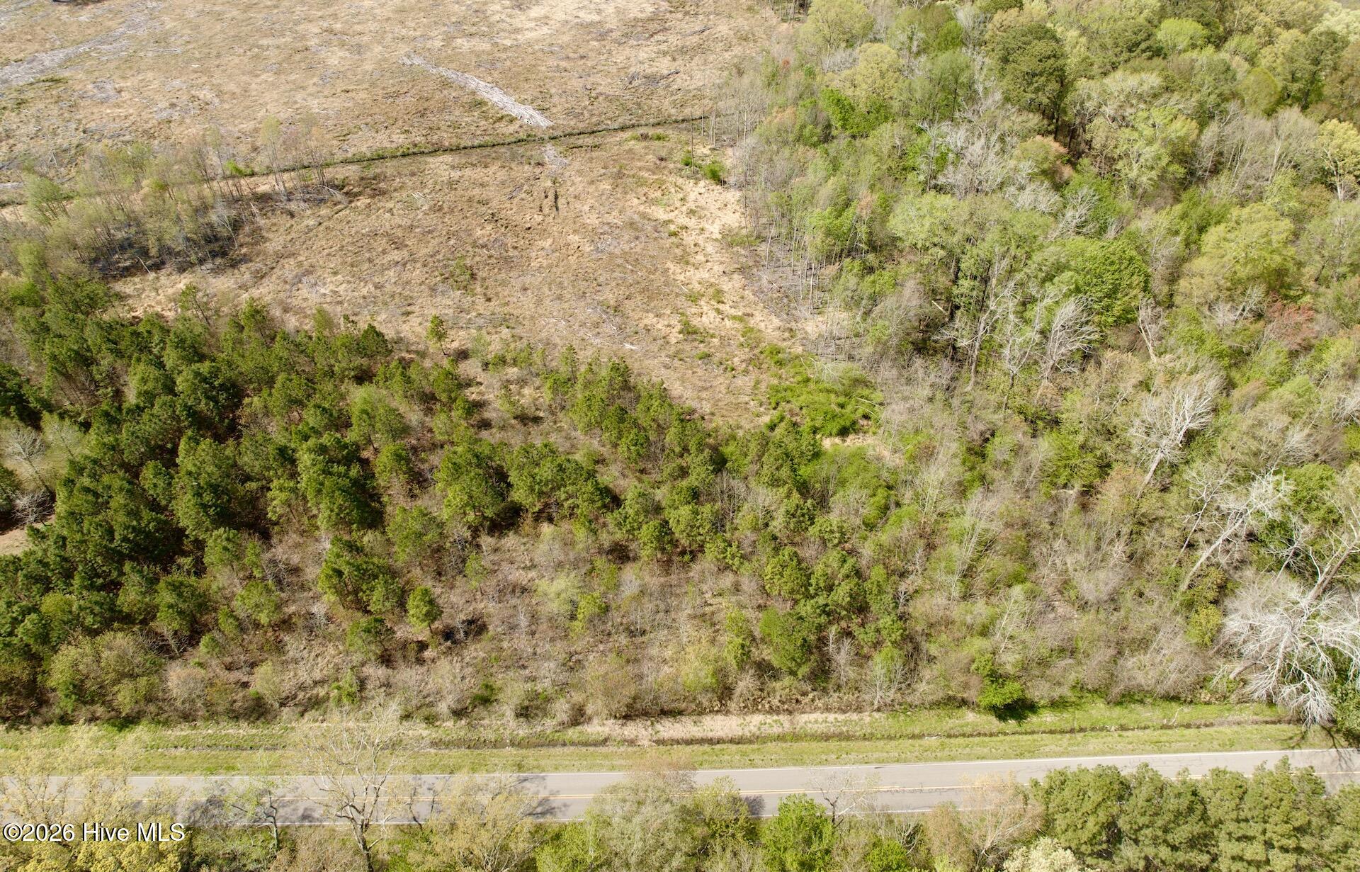 0 Black Mingle Road Gates, NC 27937 - Photo 13 of 25 15