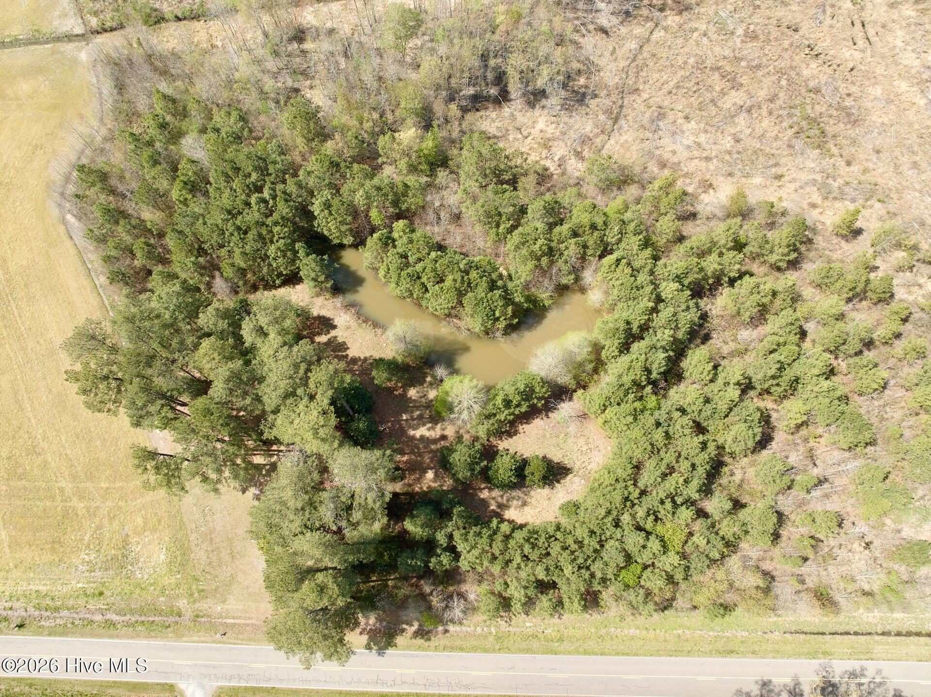 0 Black Mingle Road Gates, NC 27937 - Photo 14 of 25 16