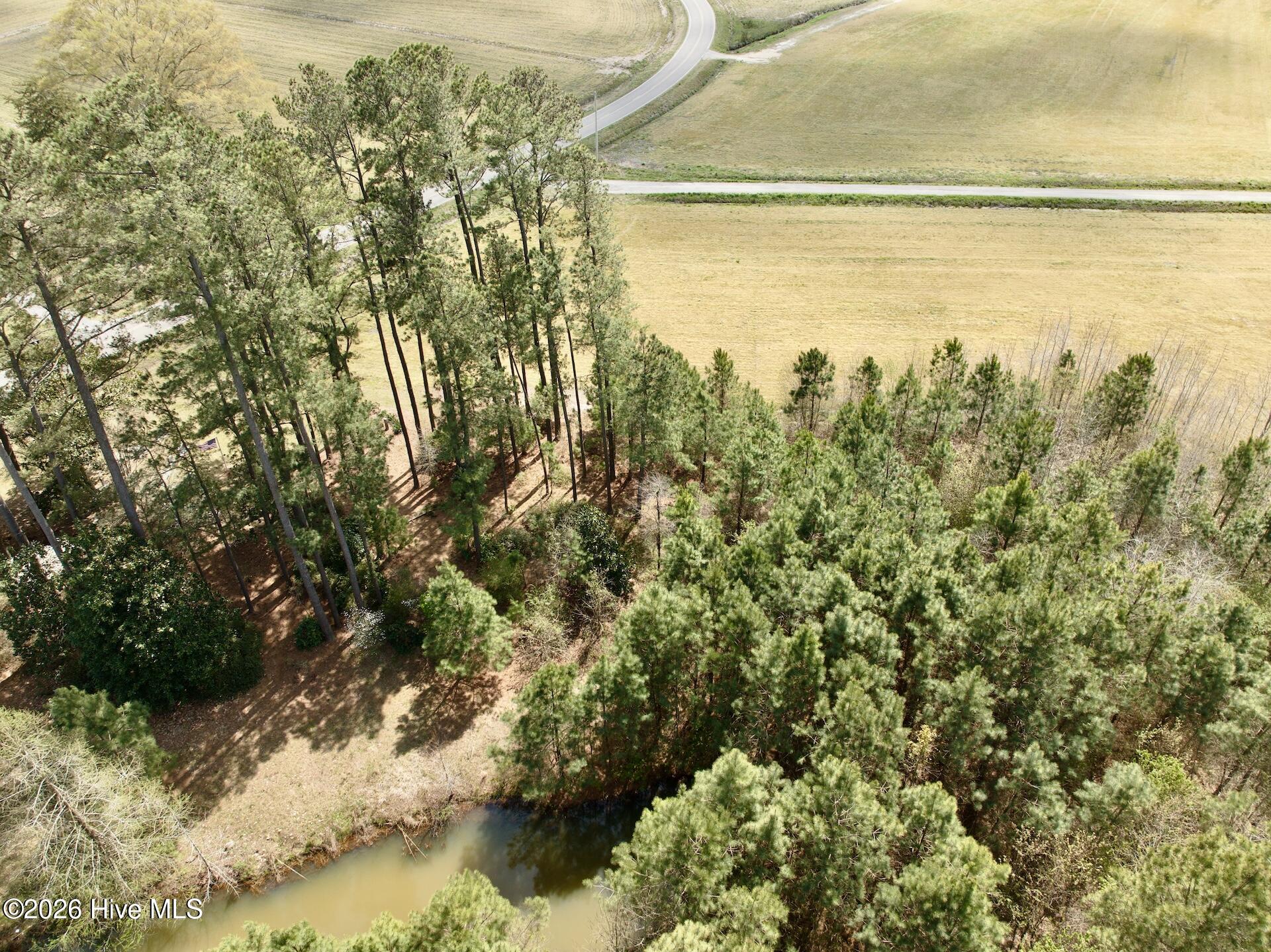 0 Black Mingle Road Gates, NC 27937 - Photo 16 of 25 18