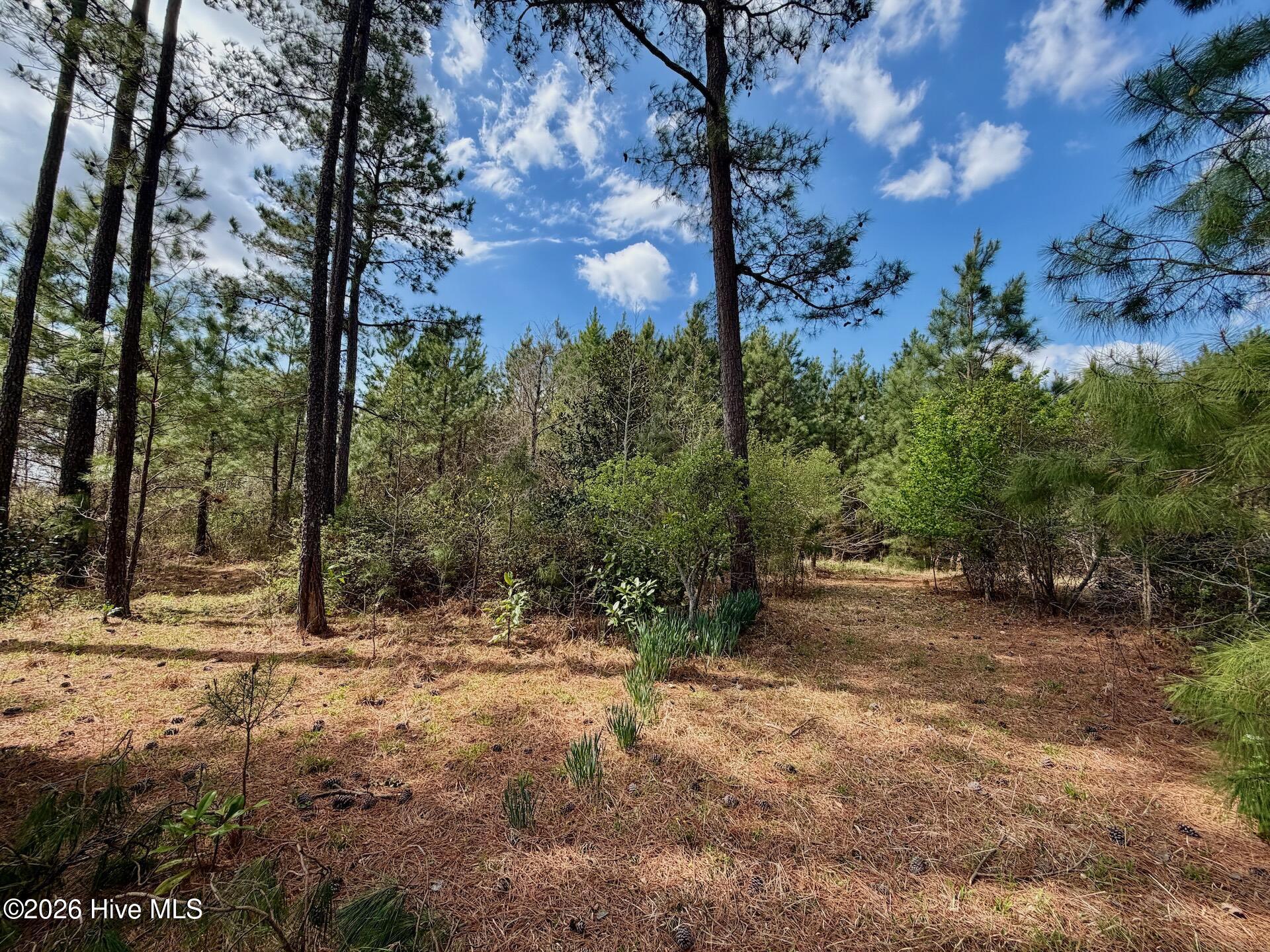 0 Black Mingle Road Gates, NC 27937 - Photo 19 of 25 21