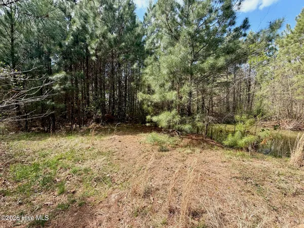 $39,900 | 0 Black Mingle Road, Gates, NC 27937