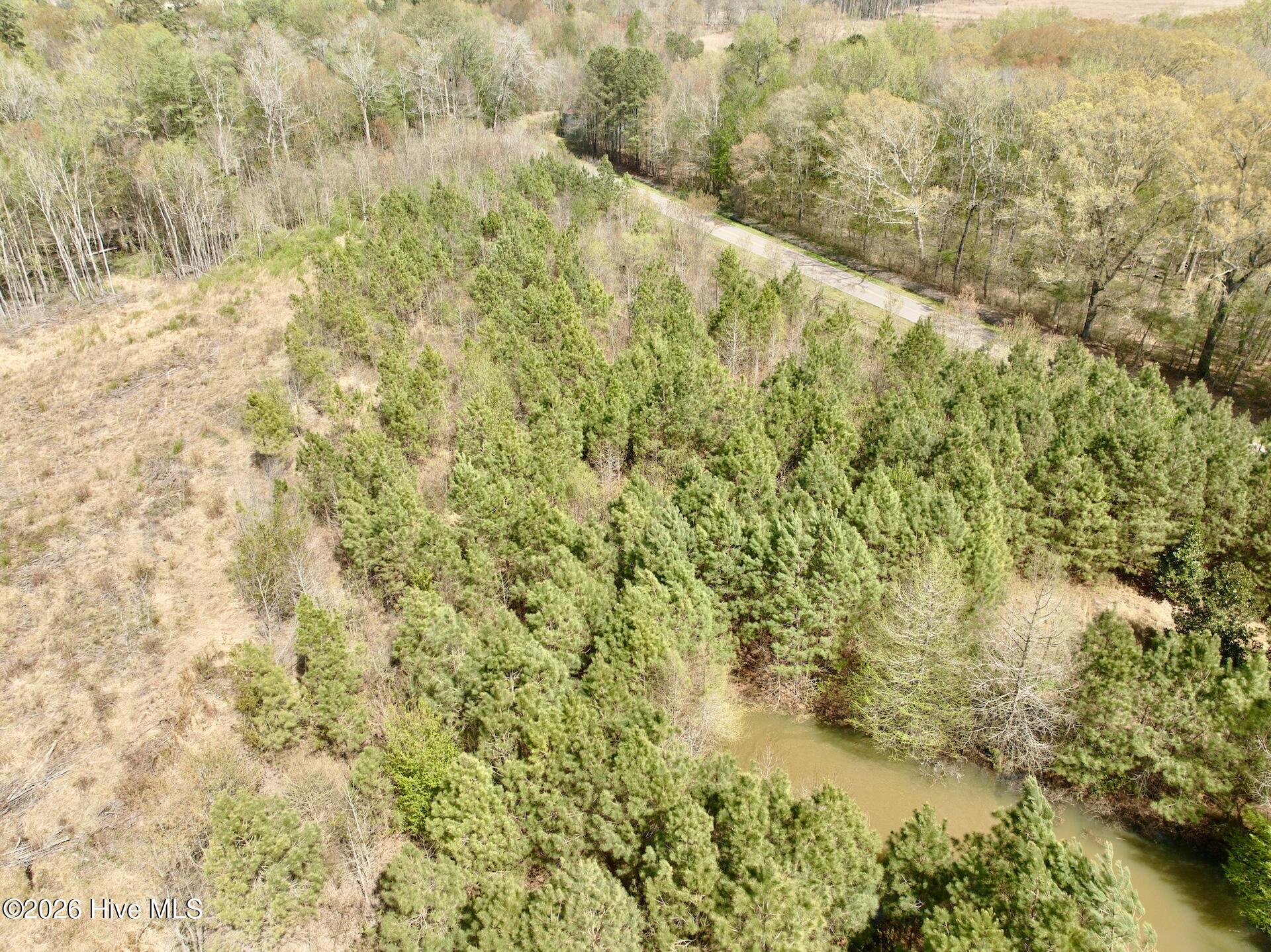 0 Black Mingle Road Gates, NC 27937 - Photo 22 of 25 24