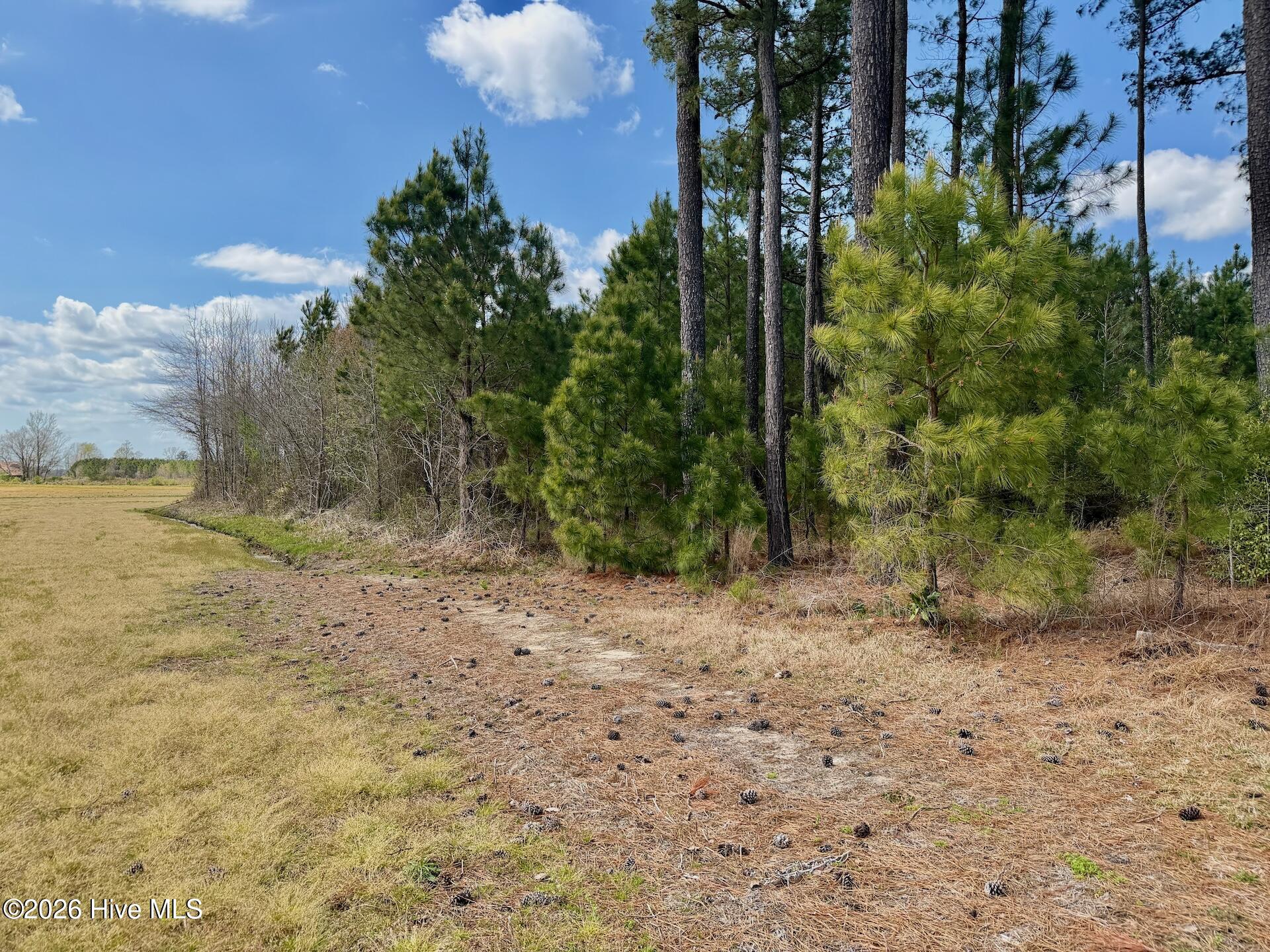 0 Black Mingle Road Gates, NC 27937 - Photo 4 of 25 5