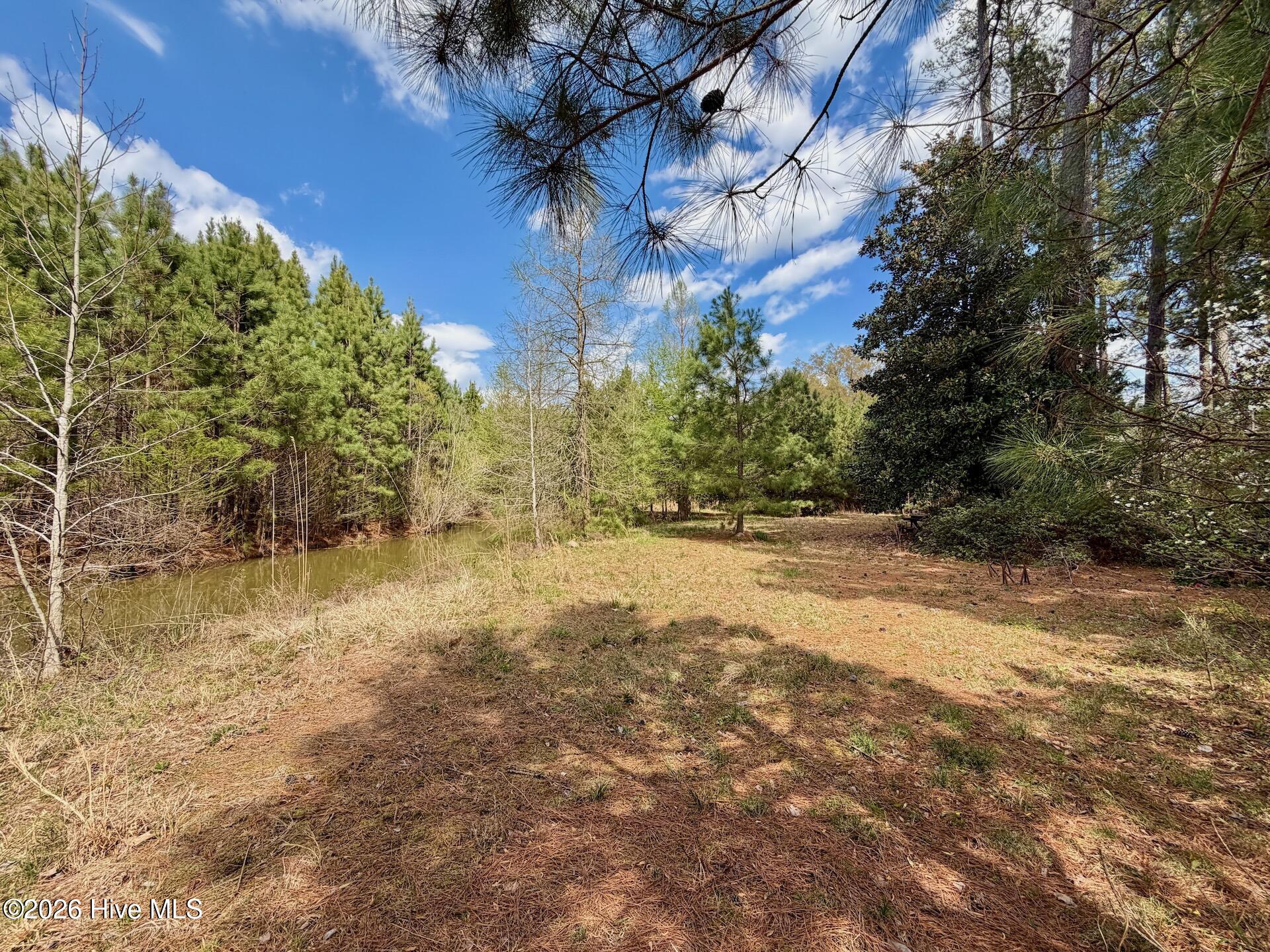 0 Black Mingle Road Gates, NC 27937 - Photo 5 of 25 7