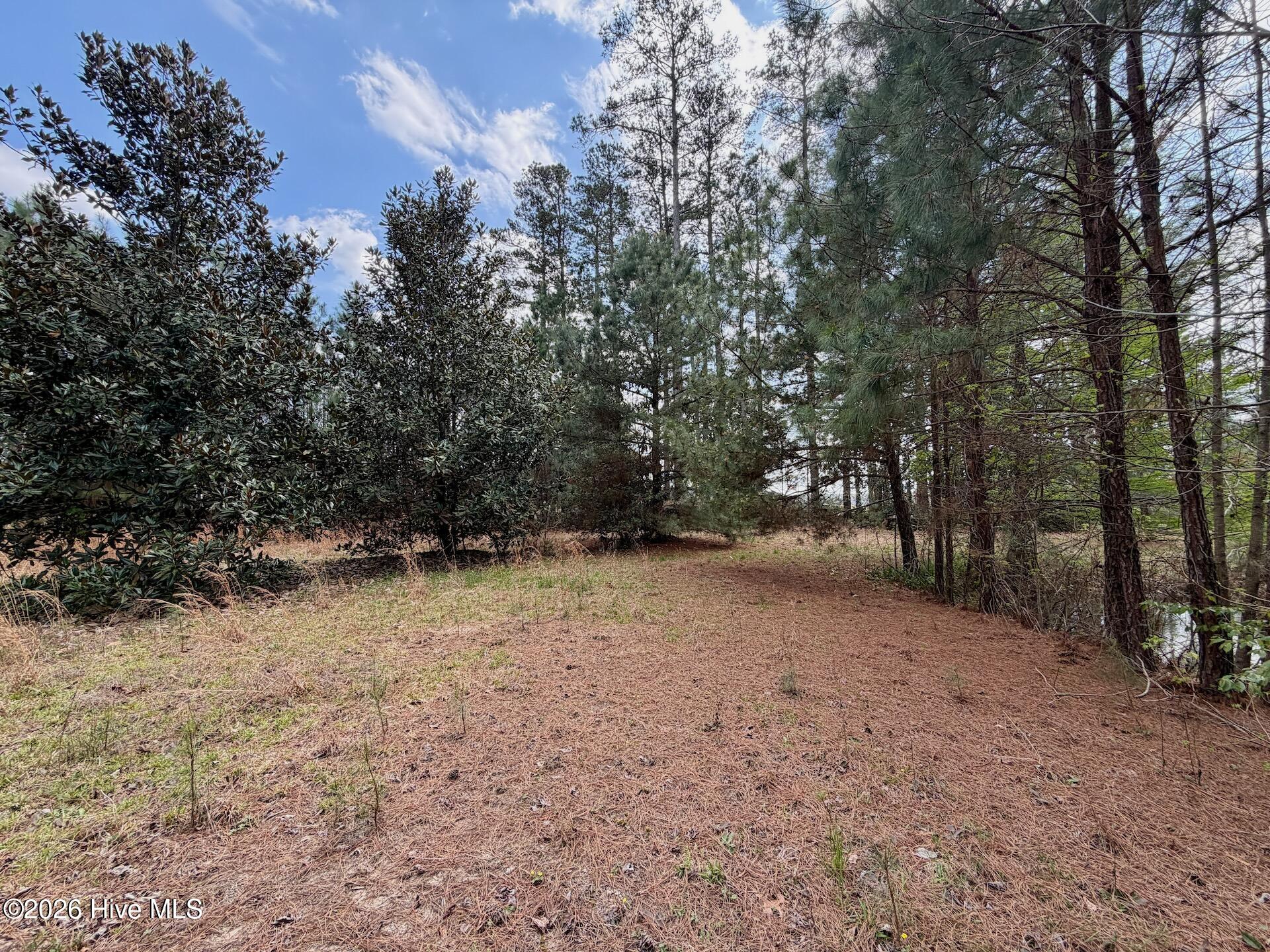 0 Black Mingle Road Gates, NC 27937 - Photo 6 of 25 8