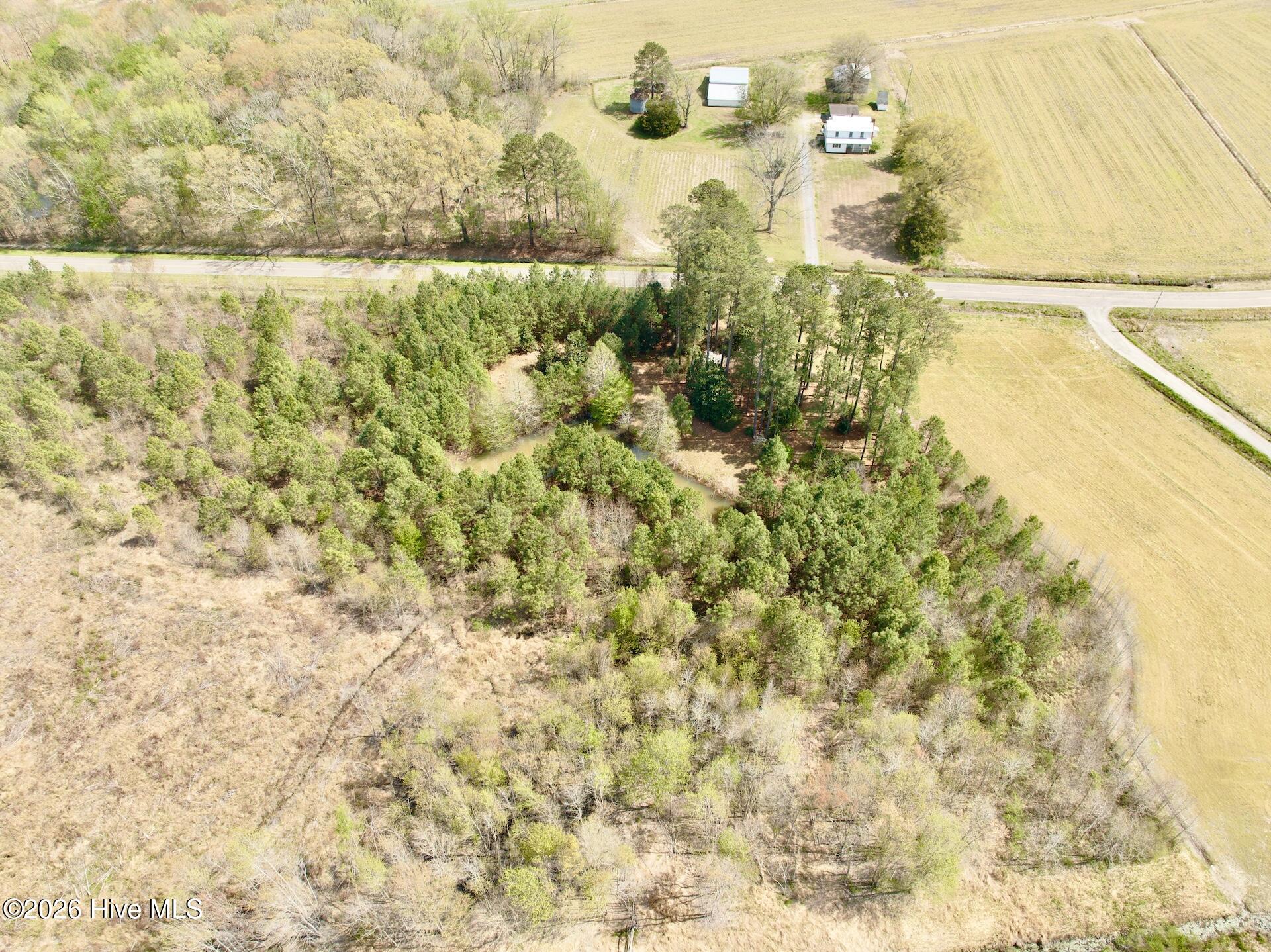 0 Black Mingle Road Gates, NC 27937 - Photo 9 of 25 11