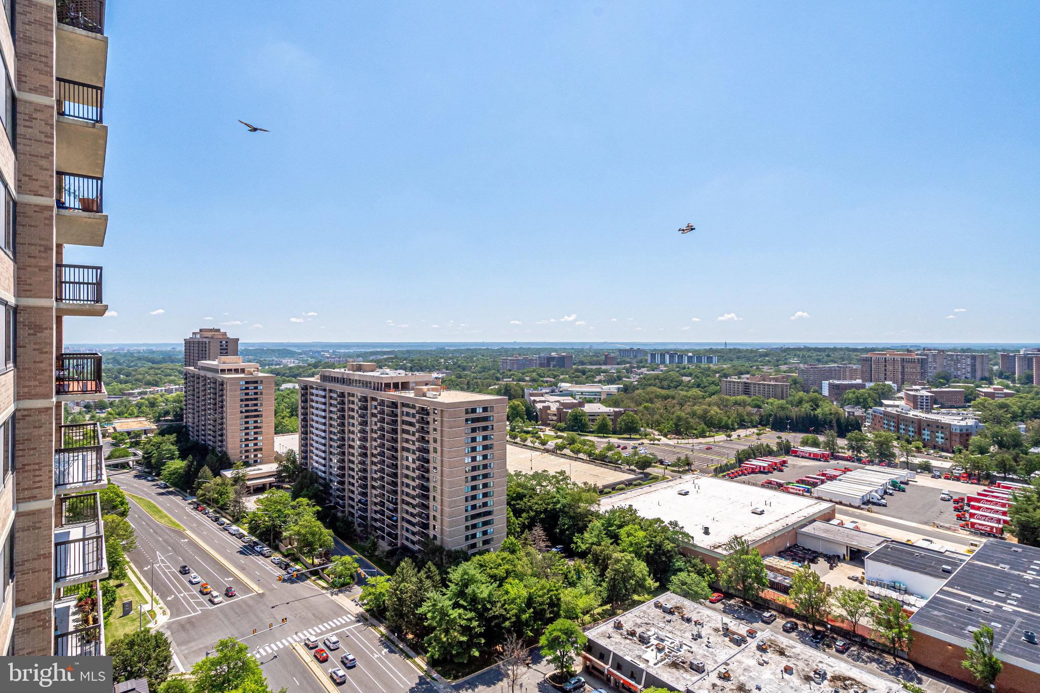 5501 Seminary Road, Unit 2206S Falls Church, VA 22041 - Photo 37 of 52