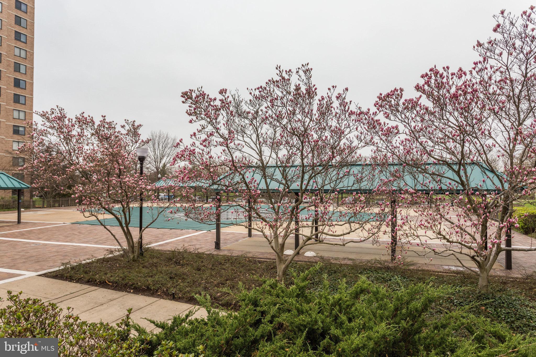 5501 Seminary Road, Unit 2206S Falls Church, VA 22041 - Photo 49 of 52