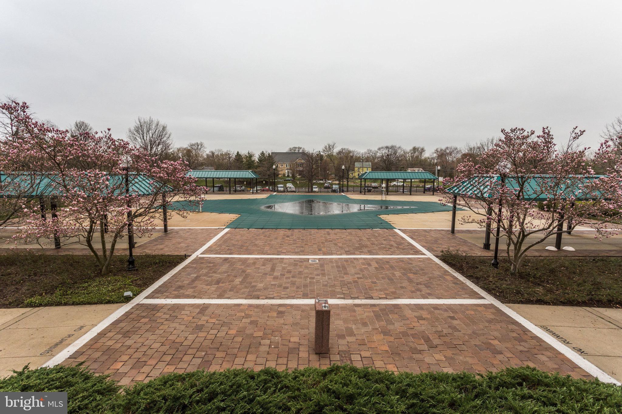 5501 Seminary Road, Unit 2206S Falls Church, VA 22041 - Photo 50 of 52