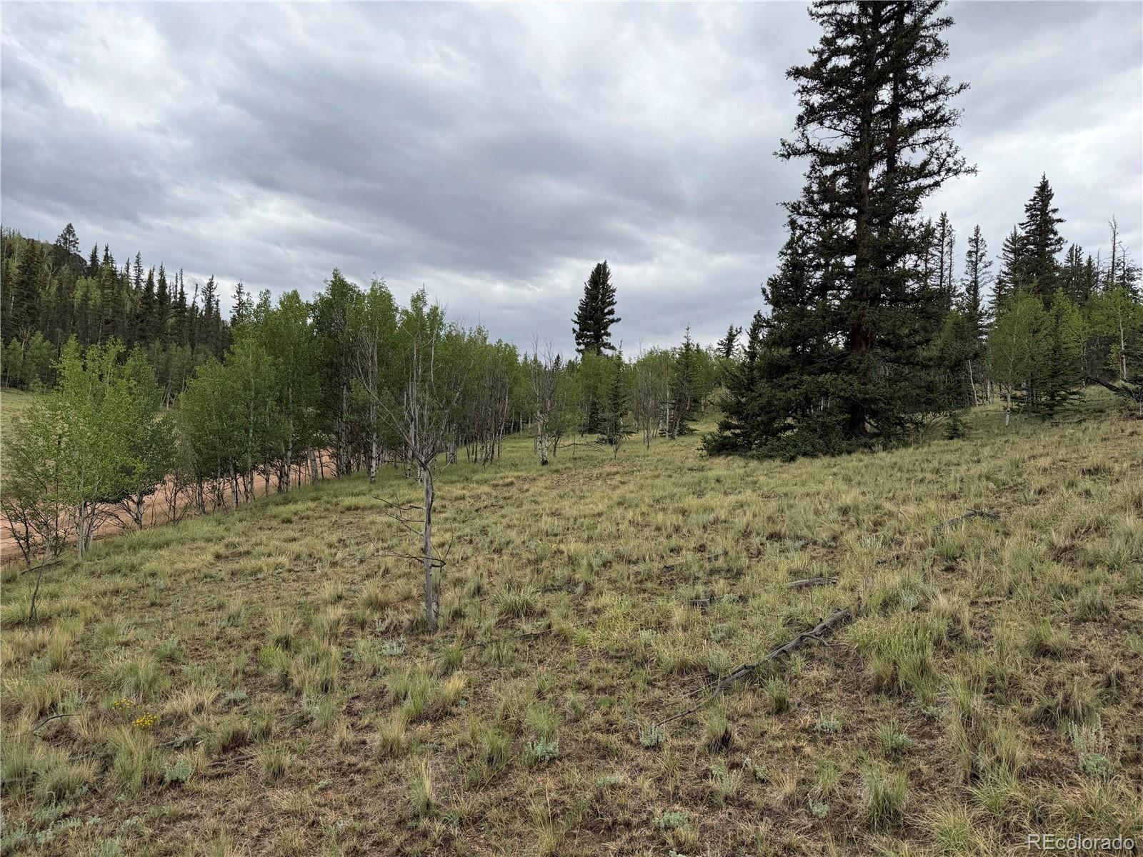 383 Spearpoint Road Como, CO 80432 - Photo 5 of 11 Gallery Image 5
