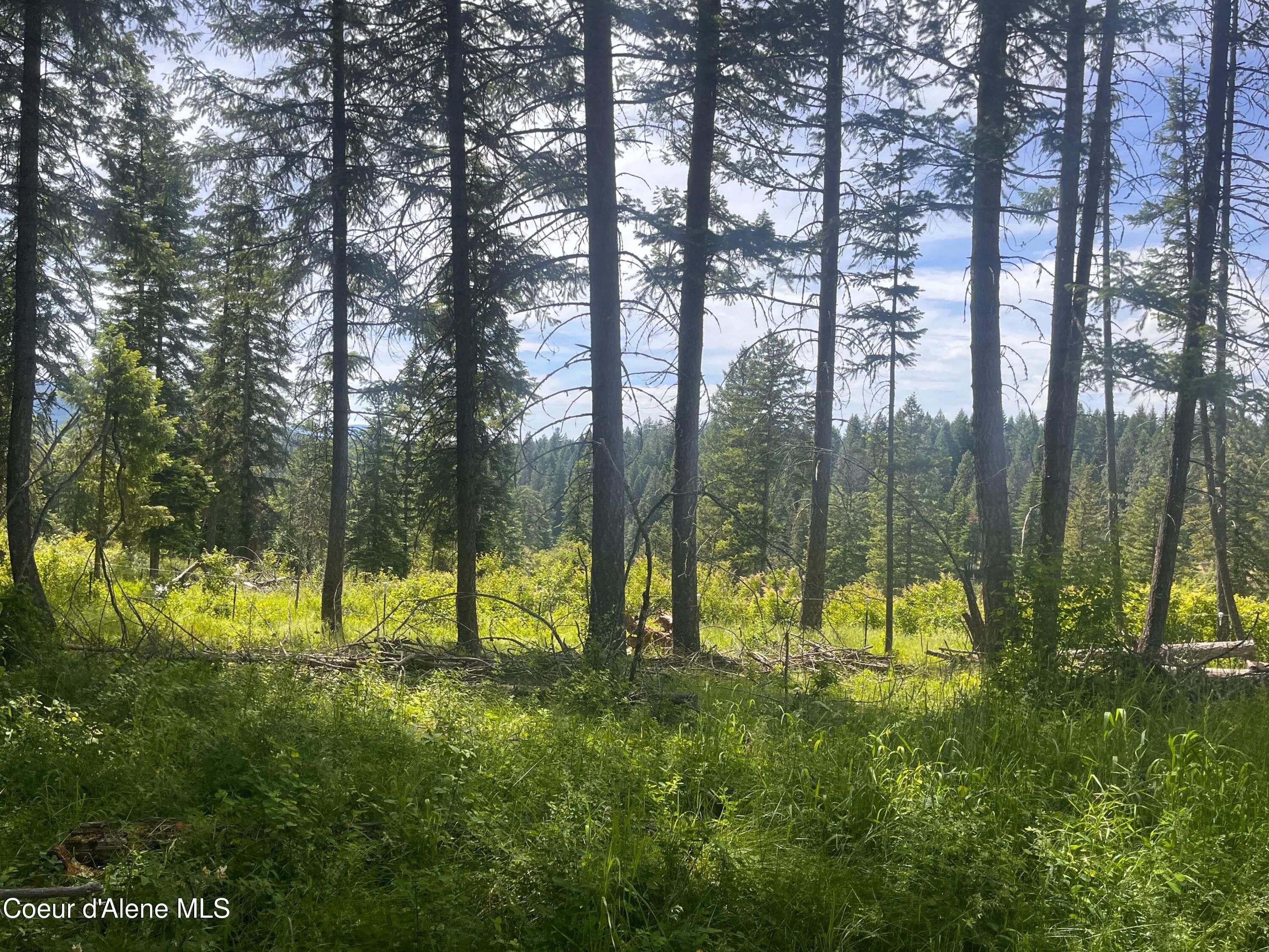 890 Pokey Creek Road Fernwood, ID 83830 - Photo 46 of 52 att.eXm6eE984YQSuYR0nBGKie_e2etfKPyBako4