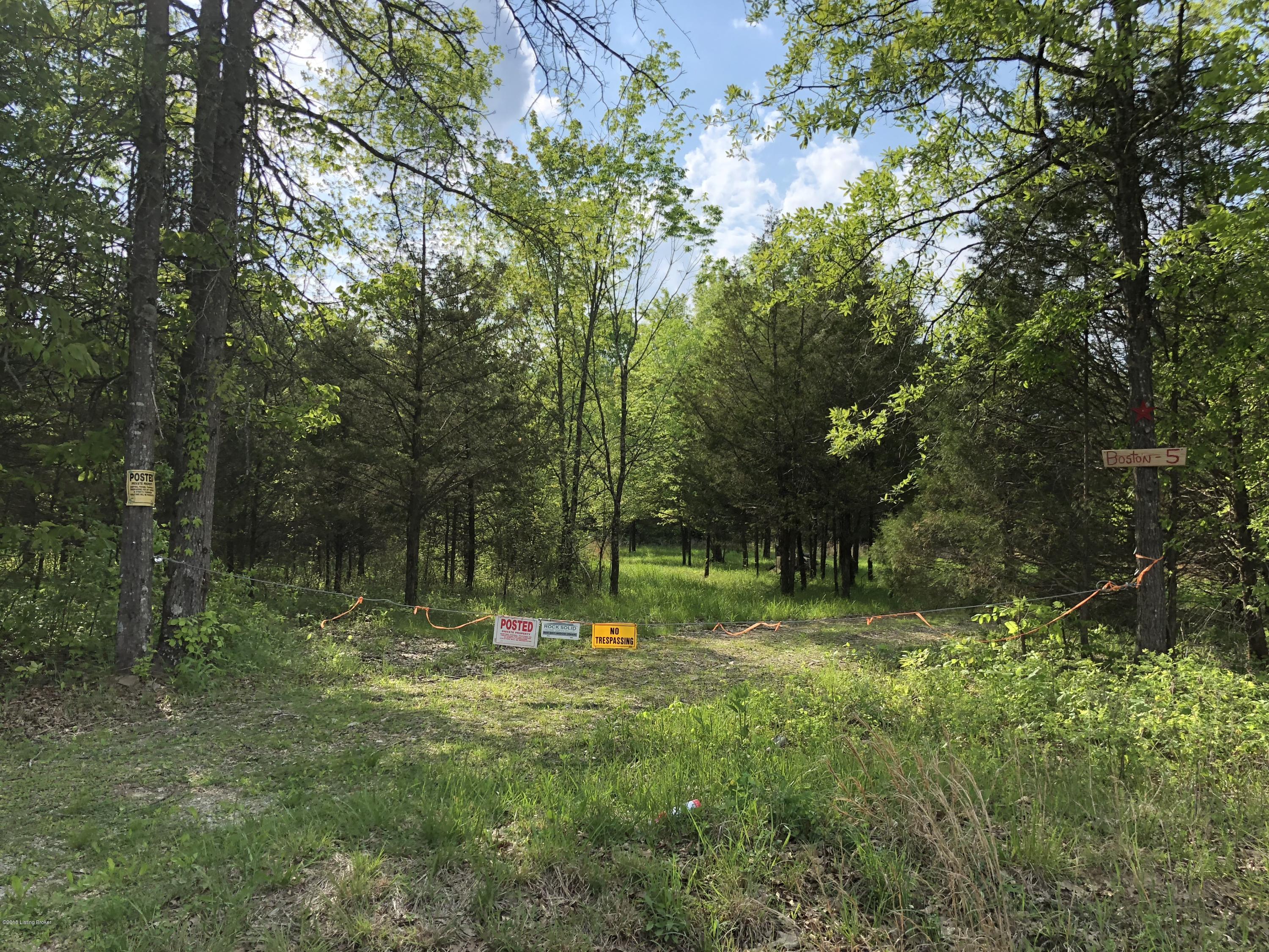0 Petersburg Road Boston, KY 40107 - Photo 26 of 30 IMG_1665