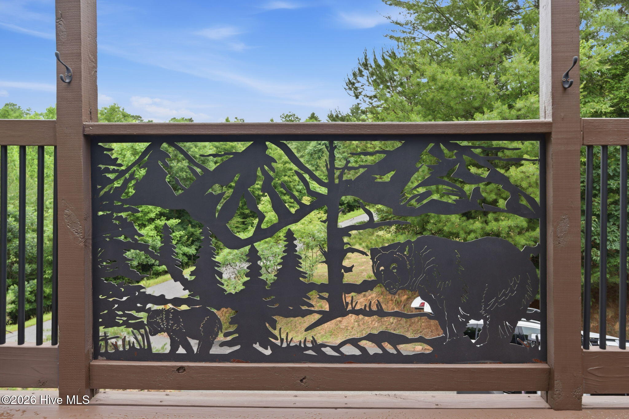 310 Rising Fawn Lane Murphy, NC 28906 - Photo 27 of 59