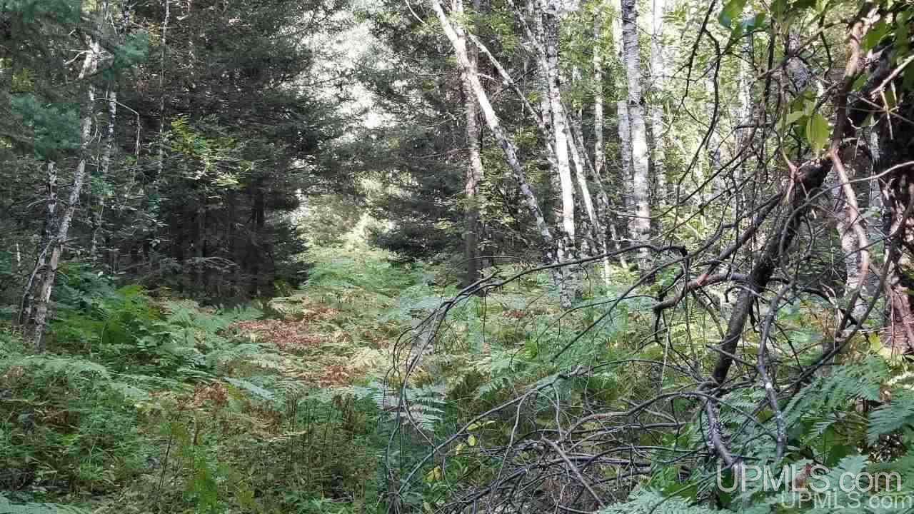Tbd Fishing Site Road, Unit 1 Amasa, MI 49903 - Photo 10 of 19