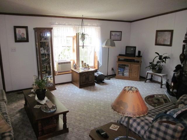 4301 River Road Hastings, MI 49058 - Photo 5 of 18 Additional Photo