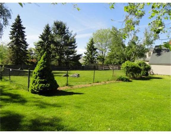 471 Bay Road Amherst, MA 01002 - Photo 29 of 30 a view of a park with a tree