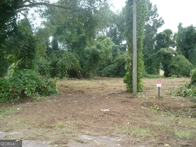 a backyard of a house with lots of green space and fountain