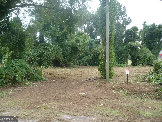 a view of backyard with green space