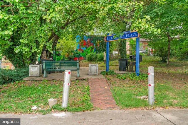 a view of a park with large trees