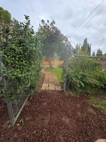 a view of a yard with plants