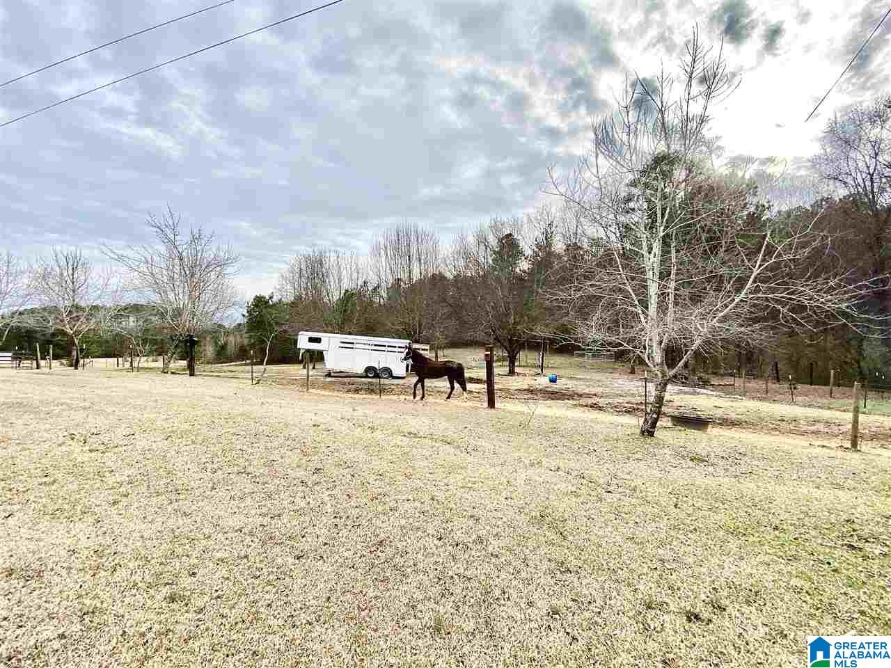 281 Way Back Lane Hayden, AL 35079 - Photo 27 of 33